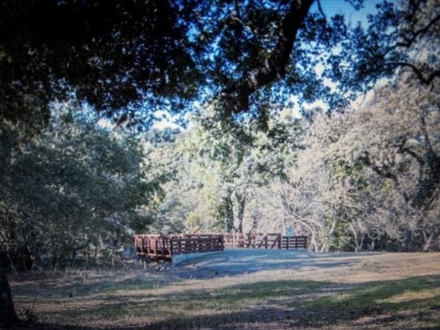 House in Portola Valley, California, United States 3 - 16695202