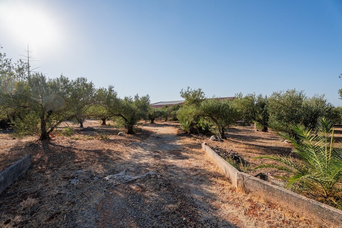 Land in Crete, Greece 5 - 16696227