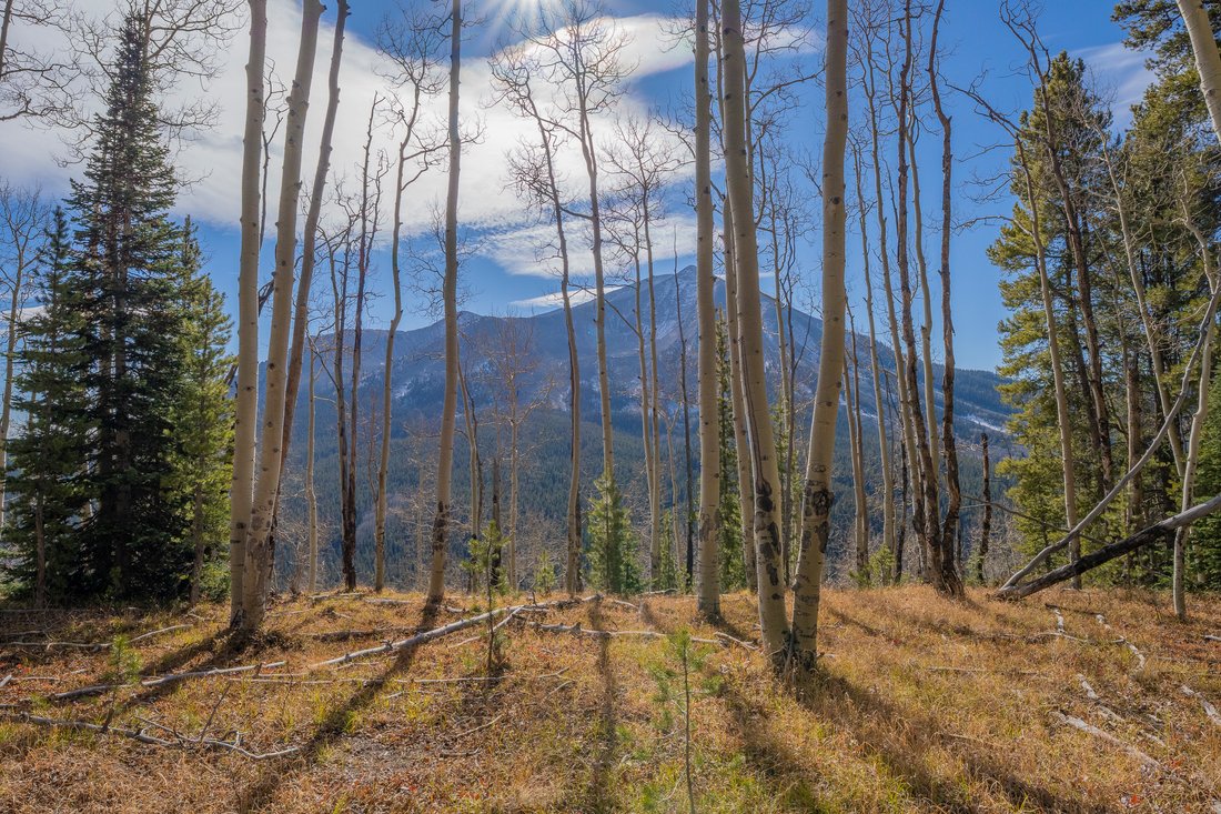 Land in Crested Butte, Colorado, United States 1 - 16696294