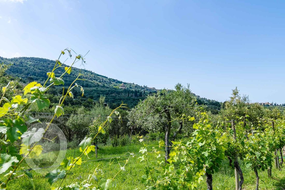 Villa a Centro, Cortona, Toscana 2 - 16696760