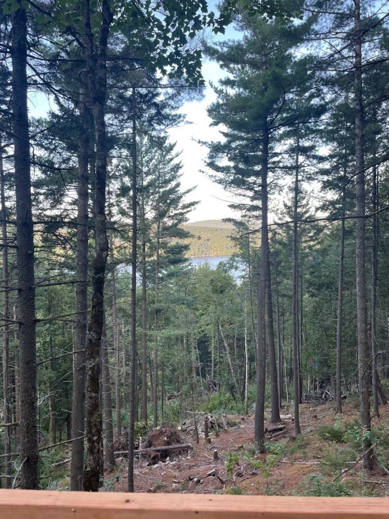 Land in Boileau, Quebec, Canada 5 - 16699164