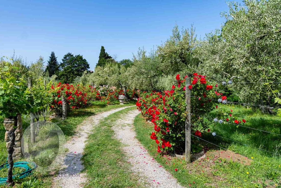 Villa a Centro, Cortona, Toscana 3 - 16696760
