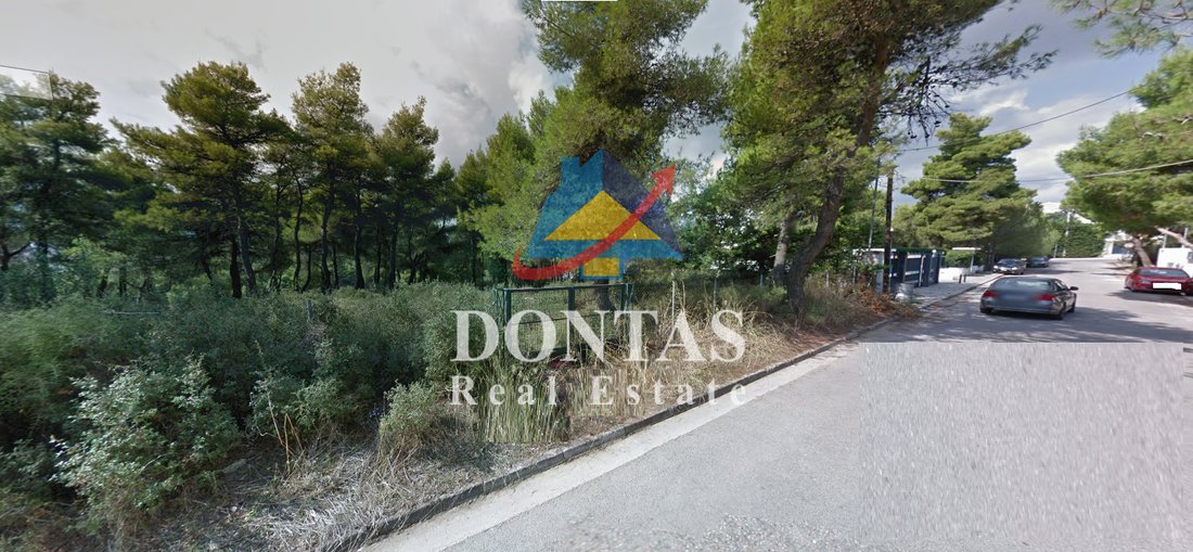 Land in Dionysos, Attica, Greece 2 - 16700289