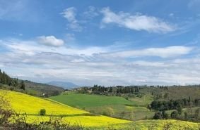 Villa in Lastra a Signa, Tuscany, Italy 2 - 16696762