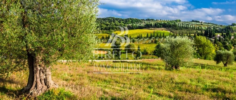 Villa in Lastra a Signa, Tuscany, Italy 1 - 16696762