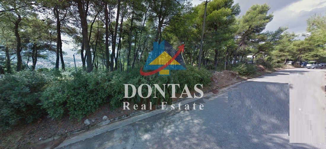 Land in Dionysos, Attica, Greece 3 - 16700289