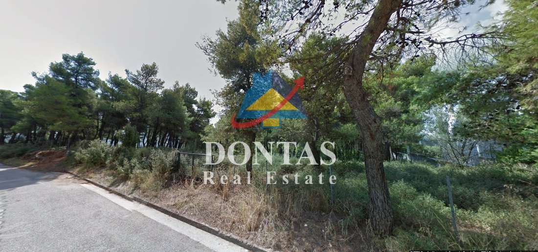 Land in Dionysos, Attica, Greece 5 - 16700289