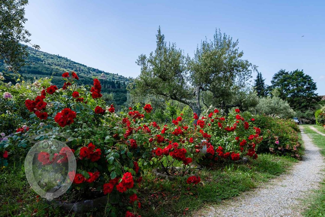 Villa a Centro, Cortona, Toscana 5 - 16696760