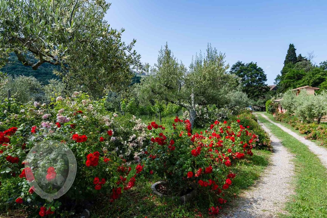 Villa a Centro, Cortona, Toscana 4 - 16696760