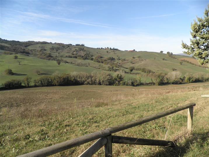 Maisons de campagne à Pomarance, Toscane, Italie 5 - 16697095