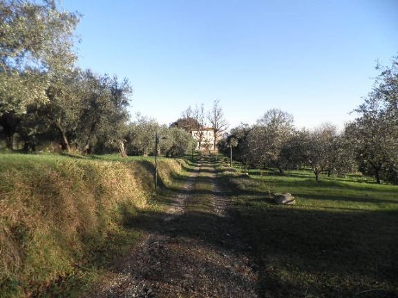 Villa à Centro-Monte alla Rena, Rosignano Marittimo, Italie 5 - 16696677