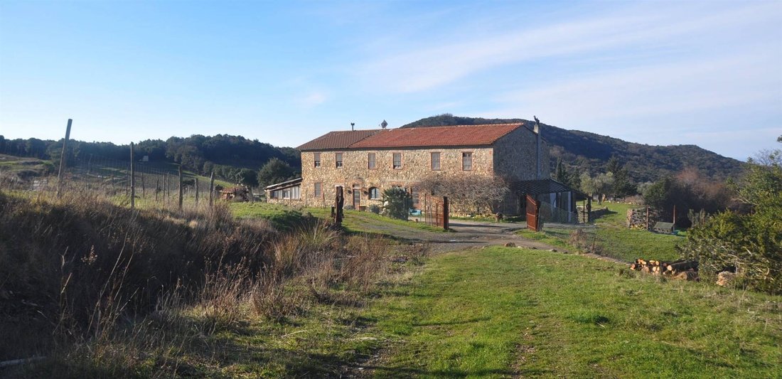 Maisons de campagne à Centro-Monte alla Rena, Rosignano Marittimo, Italie 3 - 16697103