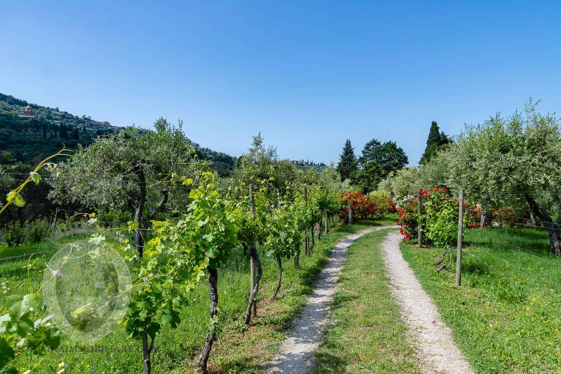 Villa a Centro, Cortona, Toscana 1 - 16696760