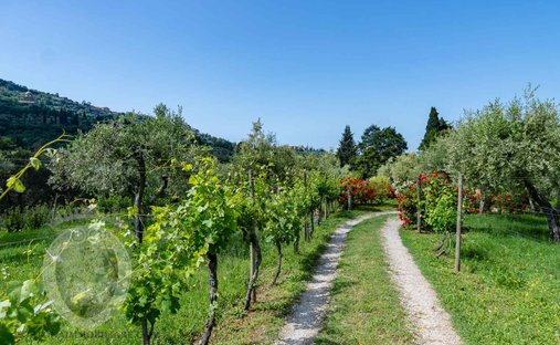 Villa in Center, Cortona, Tuscany 1