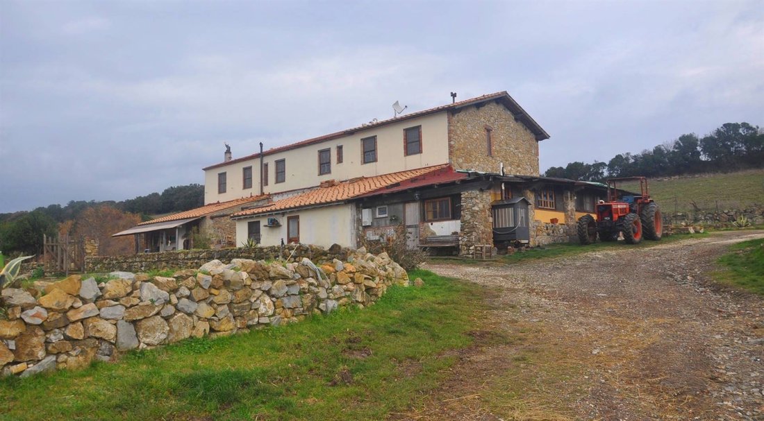Maisons de campagne à Centro-Monte alla Rena, Rosignano Marittimo, Italie 5 - 16697103