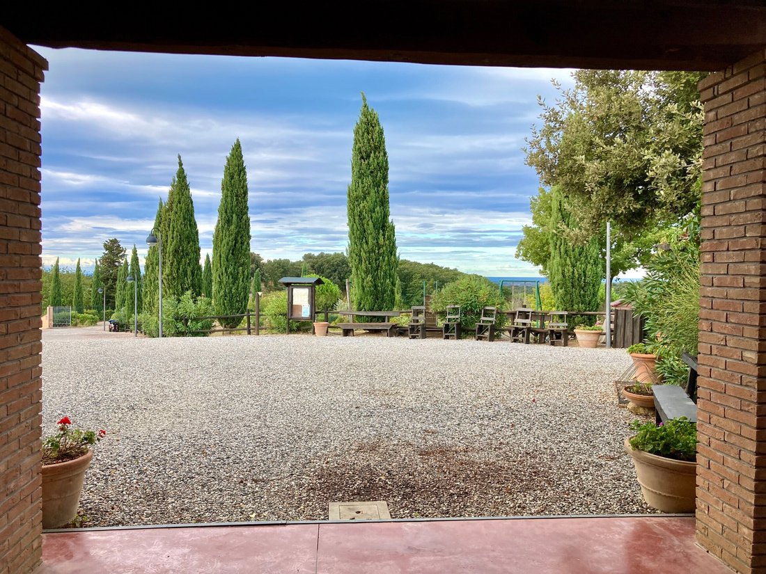 Maisons de campagne à Montescudaio, Toscane, Italie 2 - 16696776