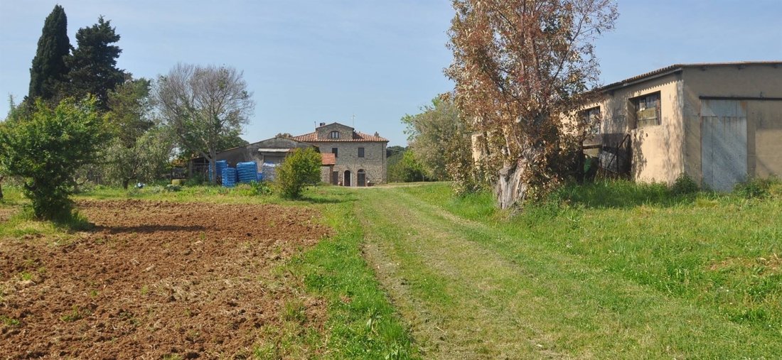 Maisons de campagne à Centro-Monte alla Rena, Rosignano Marittimo, Italie 1 - 16697084