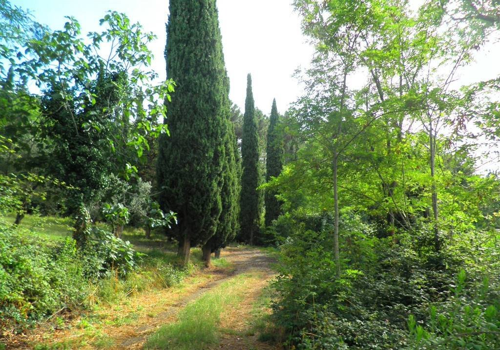Casa de Campo en Santa Luce, Toscana, Italia 3 - 16696845