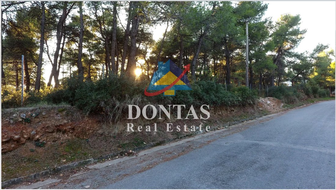 Land in Dionysos, Attica, Greece 1 - 16700289