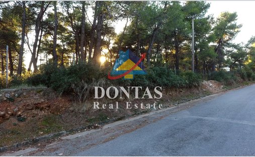 Land in Dionysos, Attica, Greece 1
