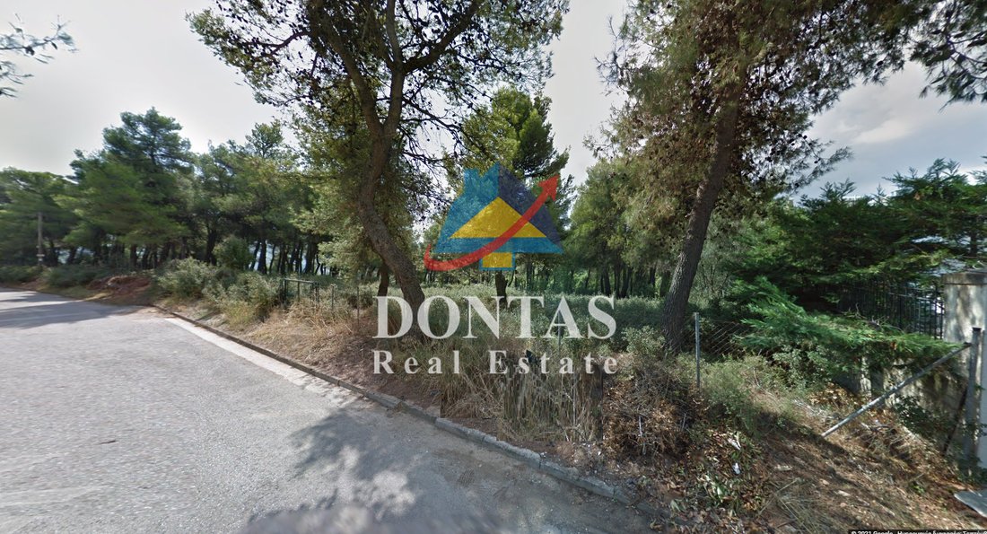 Land in Dionysos, Attica, Greece 4 - 16700289