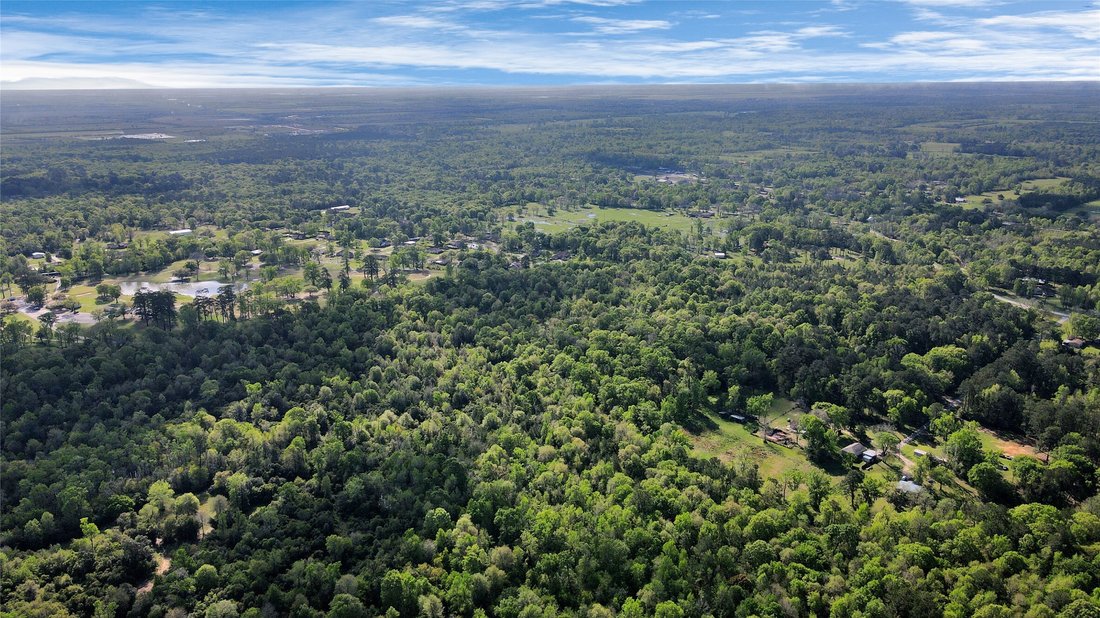 Land in Liberty, Texas, United States 5 - 16699620