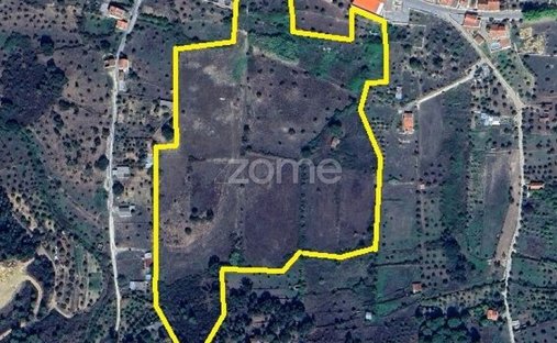Terreno a Penhascoso, Distretto di Santarém, Portogallo 1