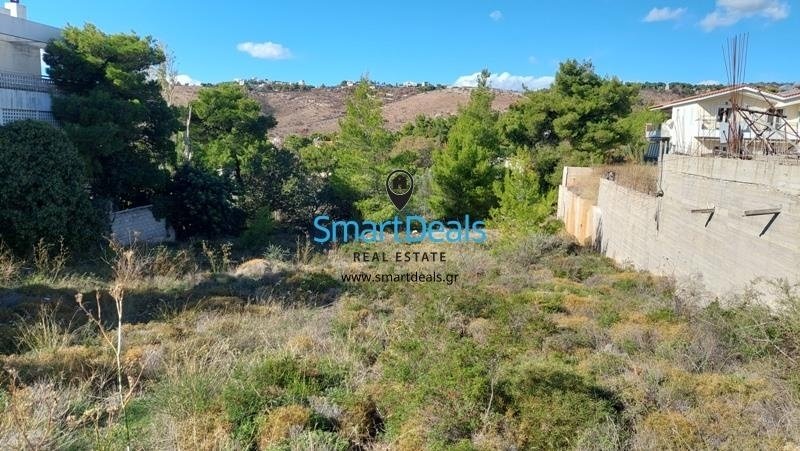 Land in Penteli, Attica, Greece 5 - 15977249