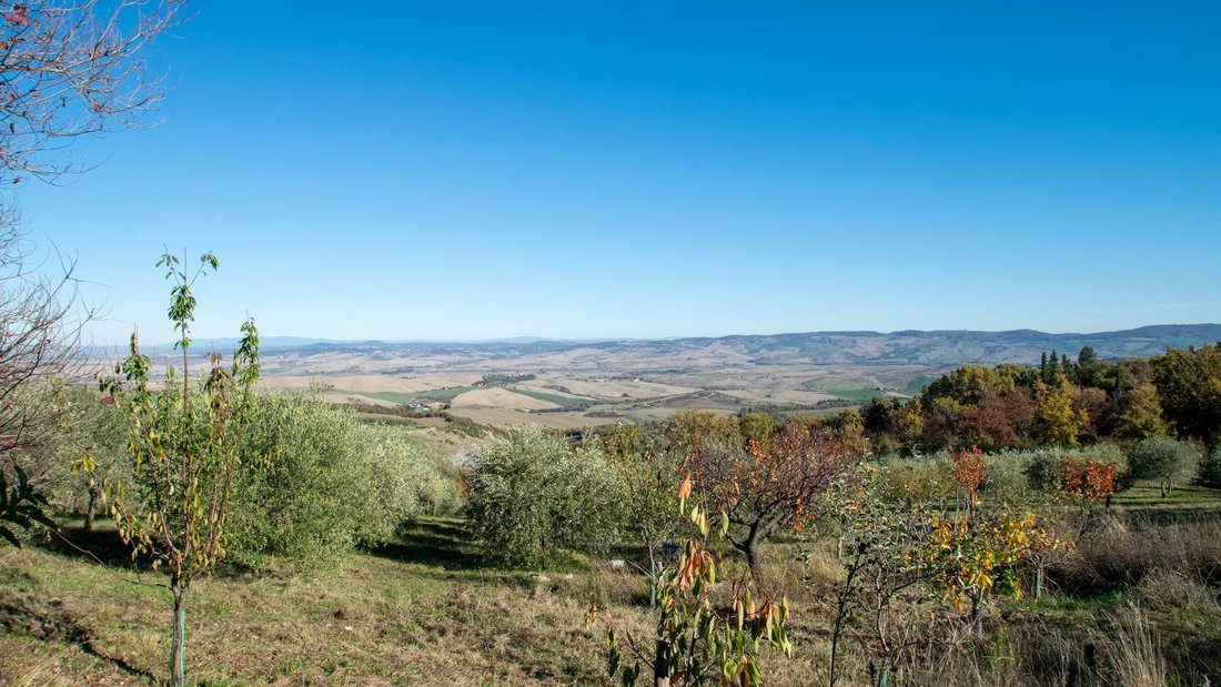 Country House in Castiglione d'Orcia, Tuscany, Italy 4 - 16698655