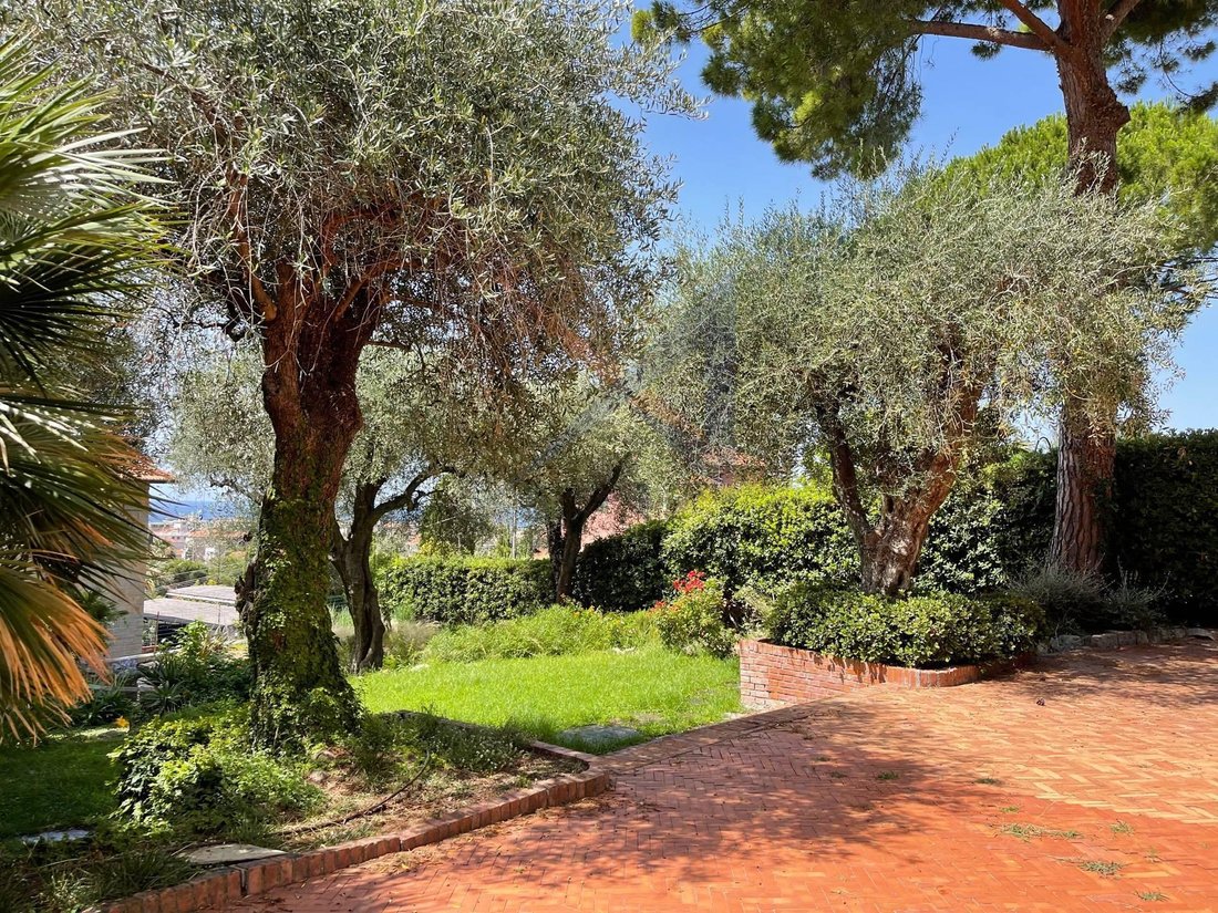 Villa in Sasso di Bordighera, Bordighera, Liguria 5 - 16696493