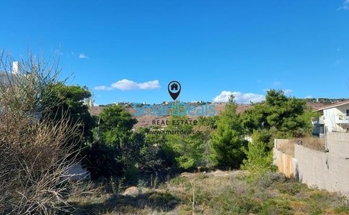 Land in Penteli, Attika, Griechenland 1