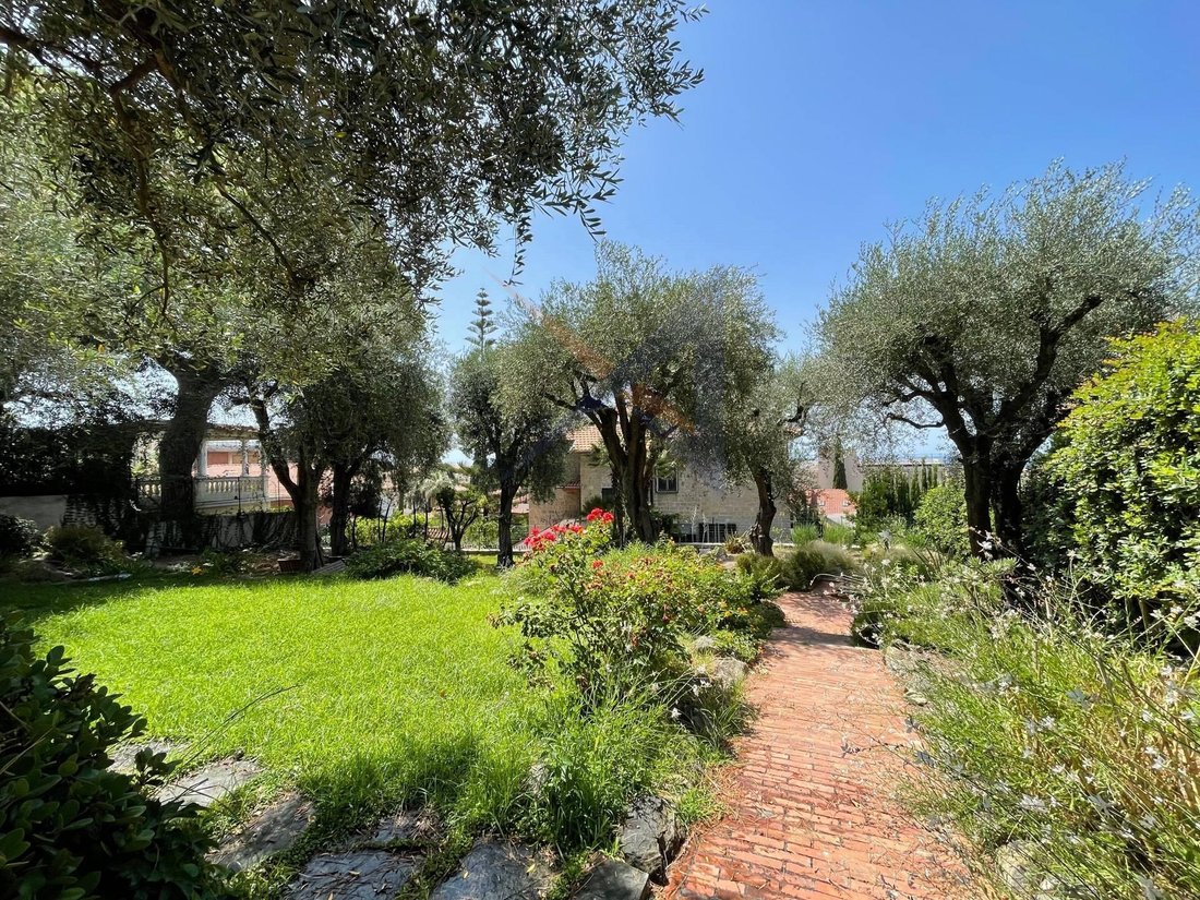 Villa in Sasso di Bordighera, Bordighera, Liguria 2 - 16696493