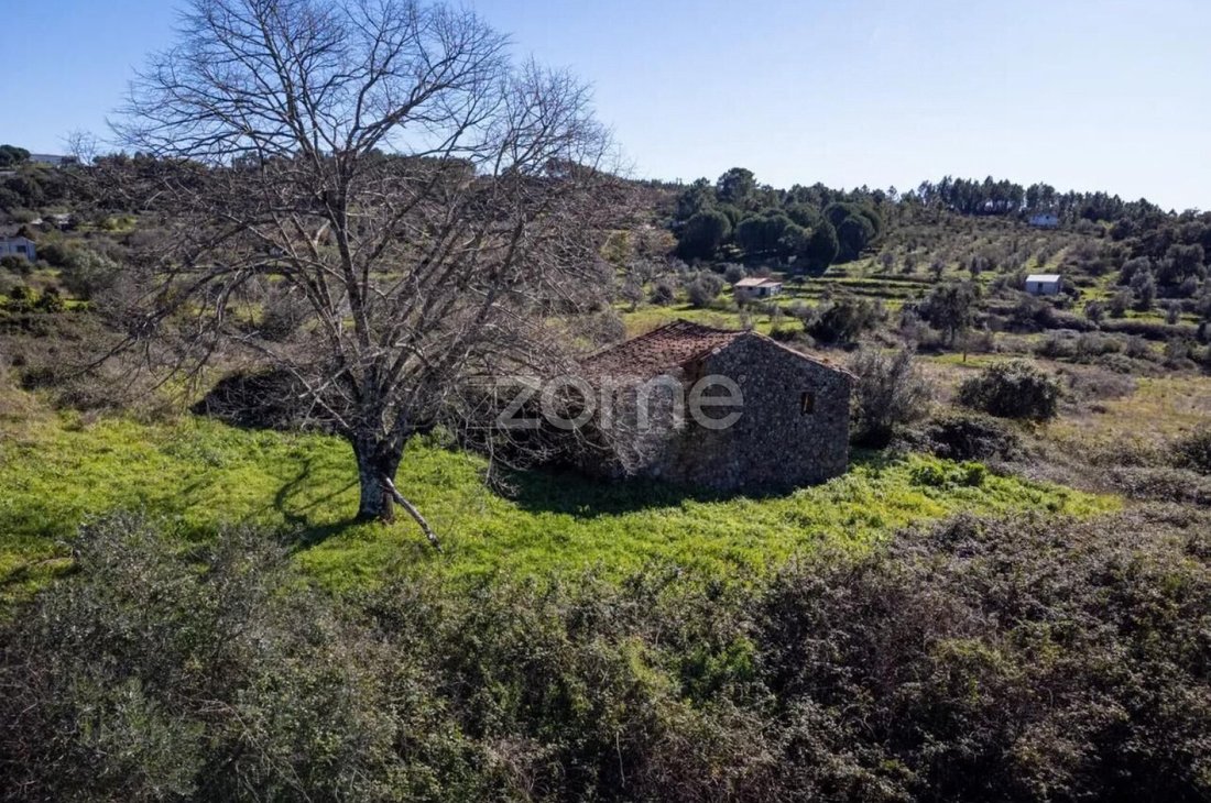 Land in Penhascoso, Santarem District, Portugal 5 - 16699138