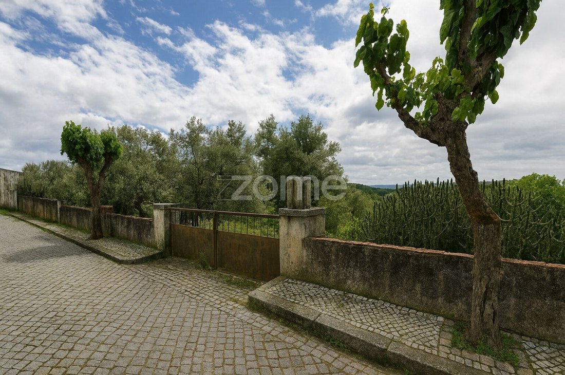 Land in Penhascoso, Santarem District, Portugal 4 - 16699138