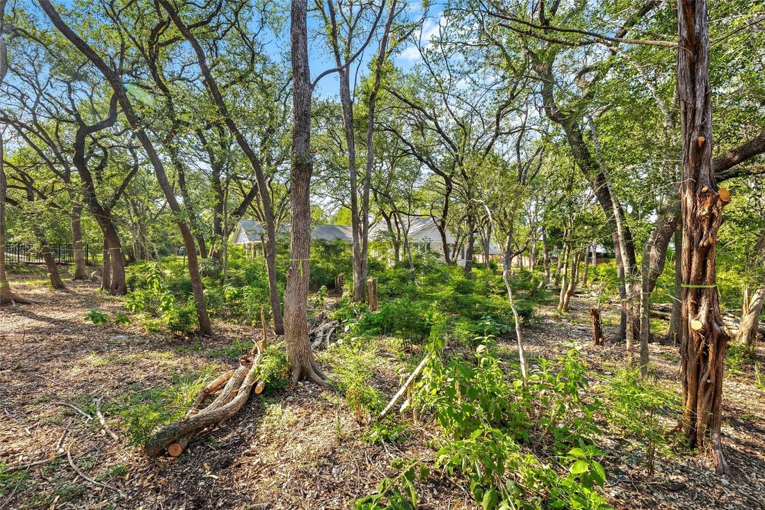 House in Austin, Texas, United States 5 - 16697686