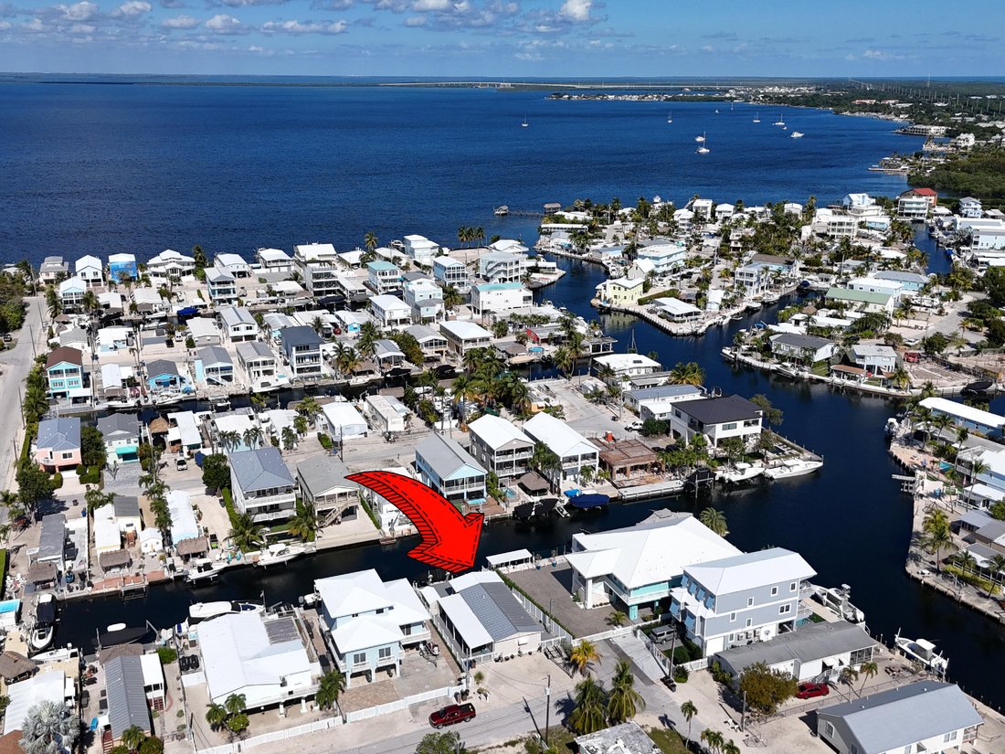 Key Largo, Florida, United States 1 - 16699805