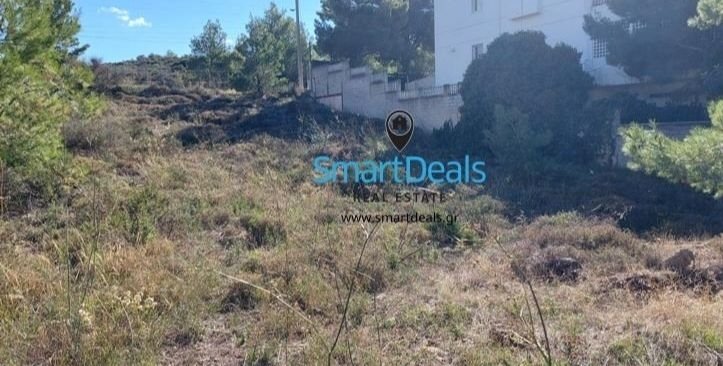 Land in Penteli, Attica, Greece 2 - 15977249