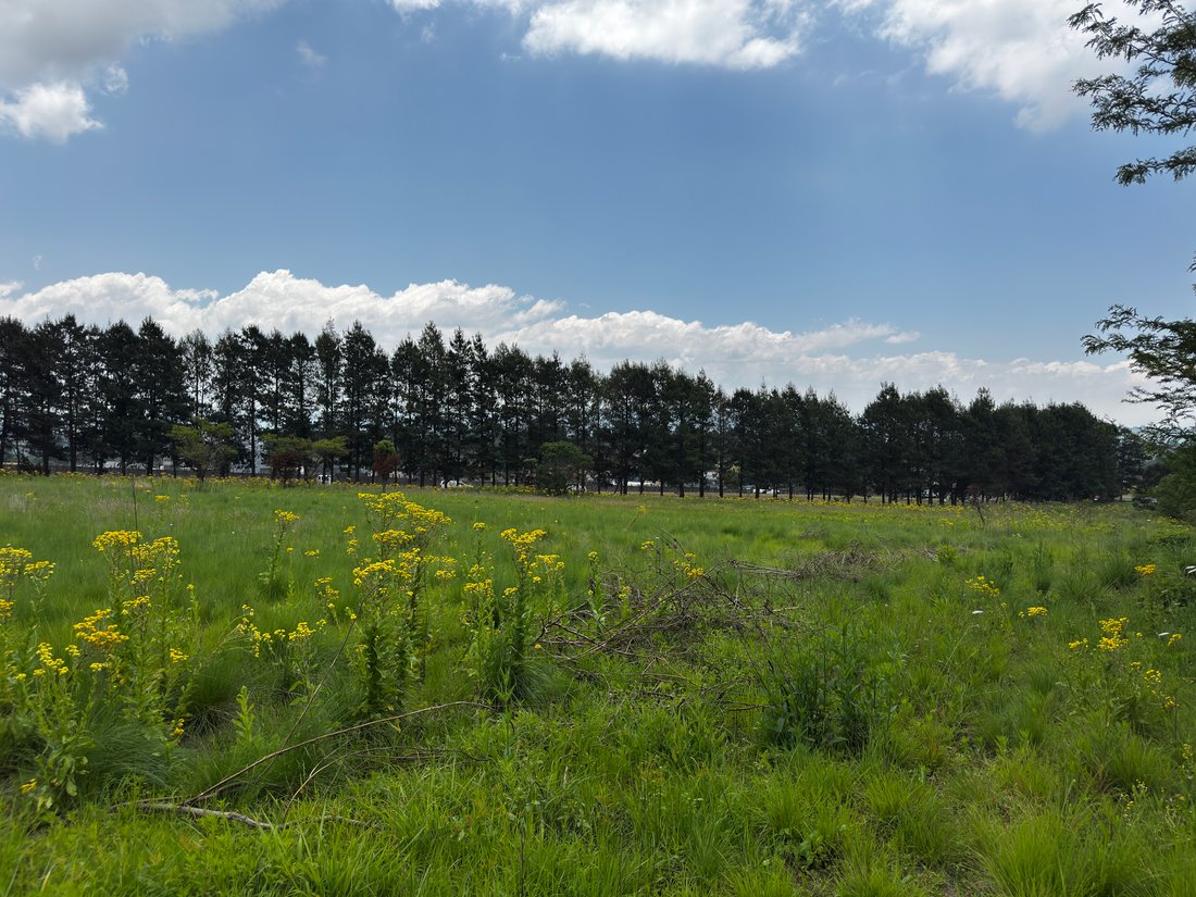 Land in Howick, KwaZulu-Natal, South Africa 5 - 16697892