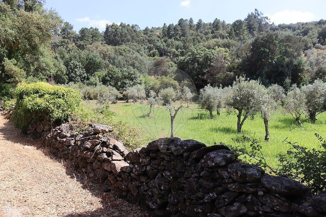 Finca in Santa Maria de Marvao, Portalegre District, Portugal 4 - 16697457