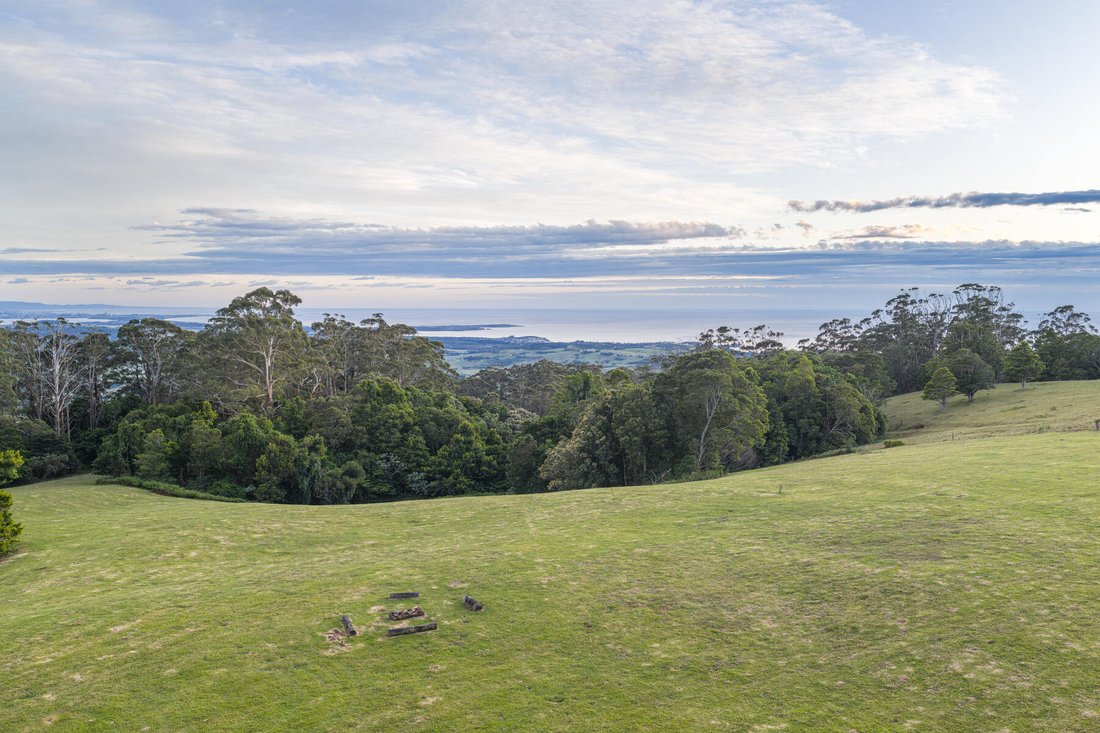 Haus in Jamberoo, New South Wales, Australien 4 - 16699540