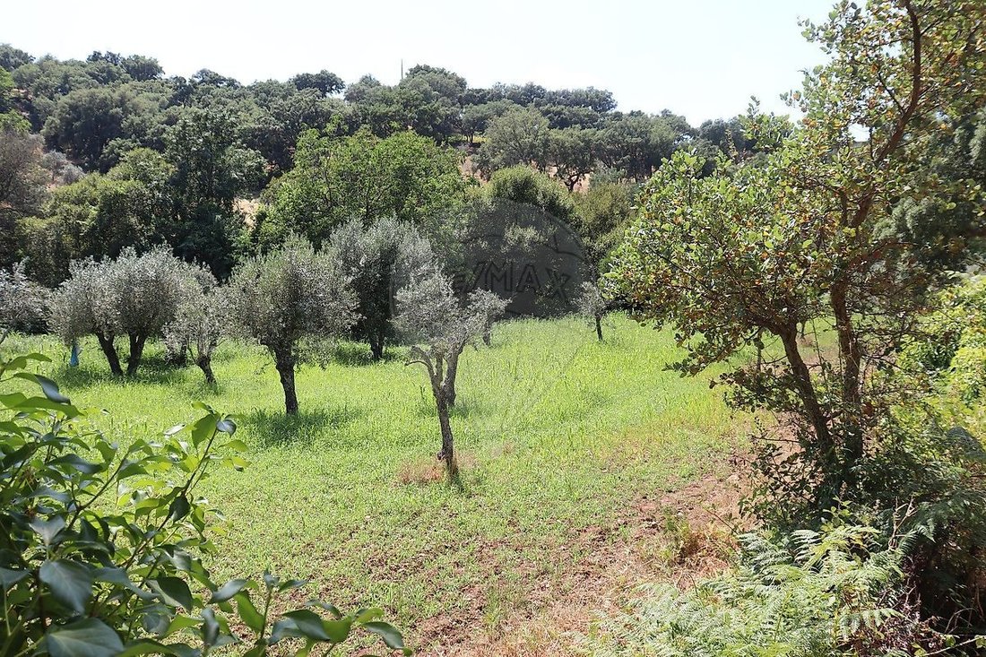 Finca in Santa Maria de Marvao, Portalegre District, Portugal 5 - 16697457