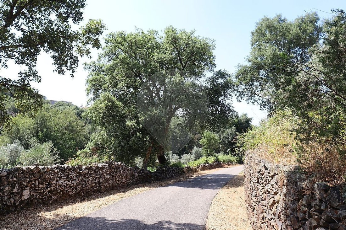 Finca in Santa Maria de Marvao, Portalegre District, Portugal 5 - 16697457