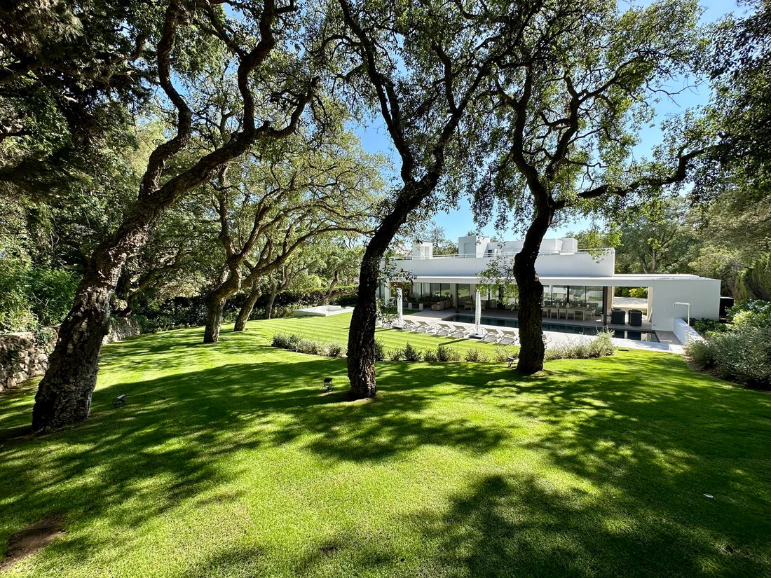Villa in Sotogrande, San Roque, Andalusia 5 - 16701068