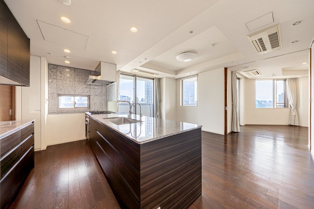 Condo in Minato City, Tokyo, Japan 4 - 16701536