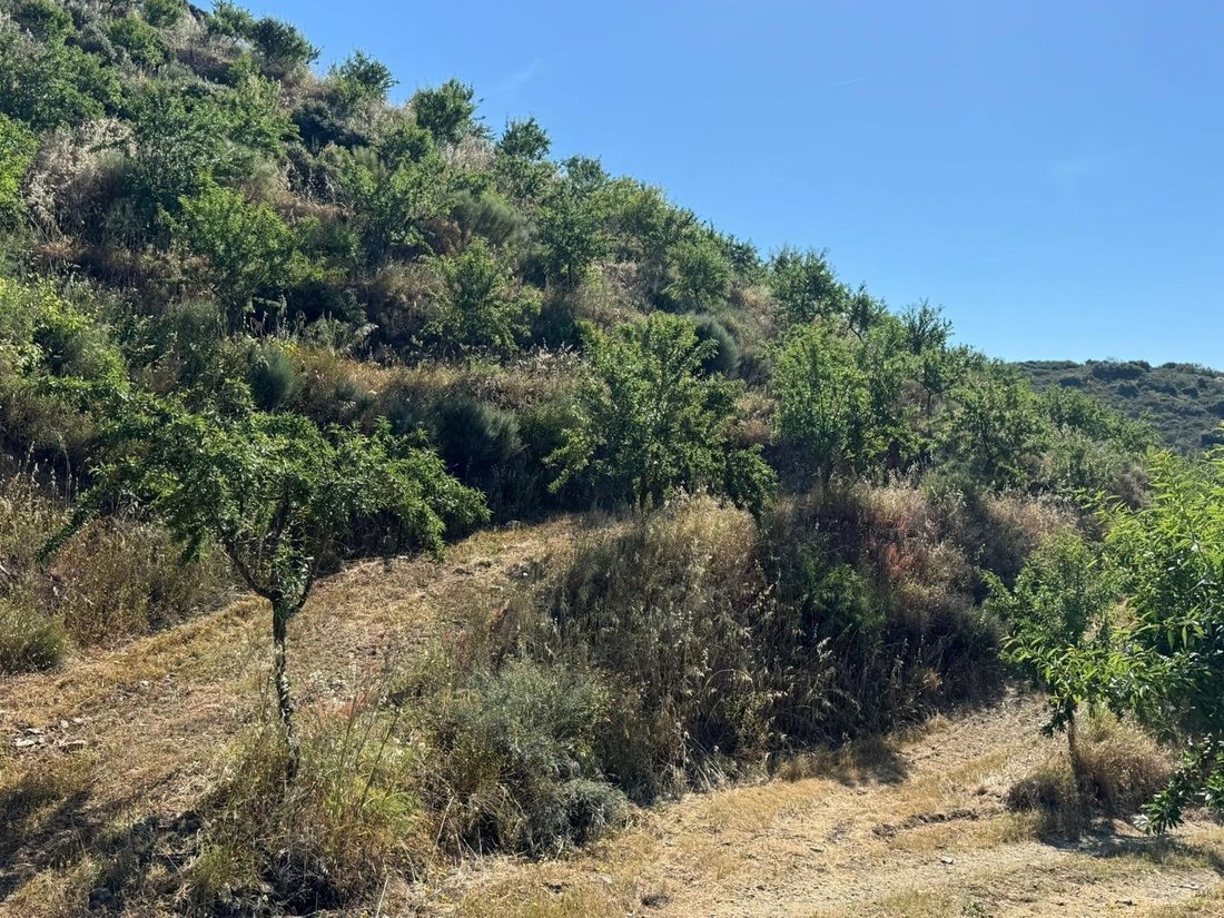Terreno a Meda, Outeiro de Gatos e Fonte Longa, Distretto di Guarda, Portogallo 4 - 16700552