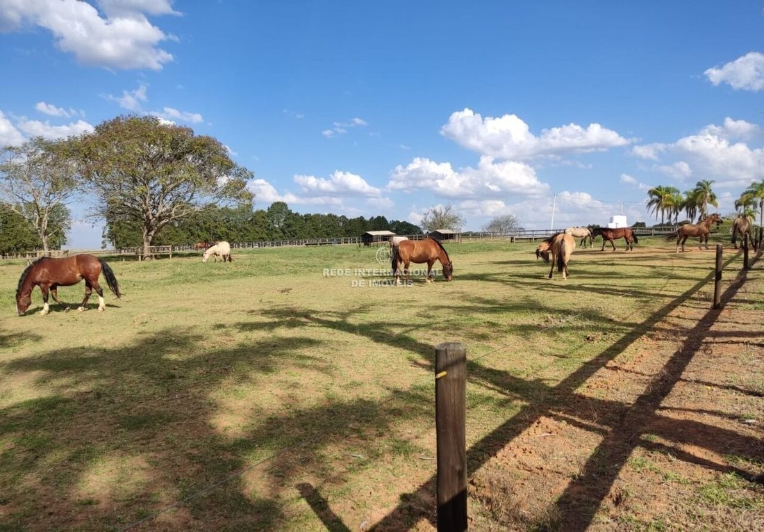 Farm Ranch in Itapetininga, State of São Paulo, Brazil 1 - 16700967