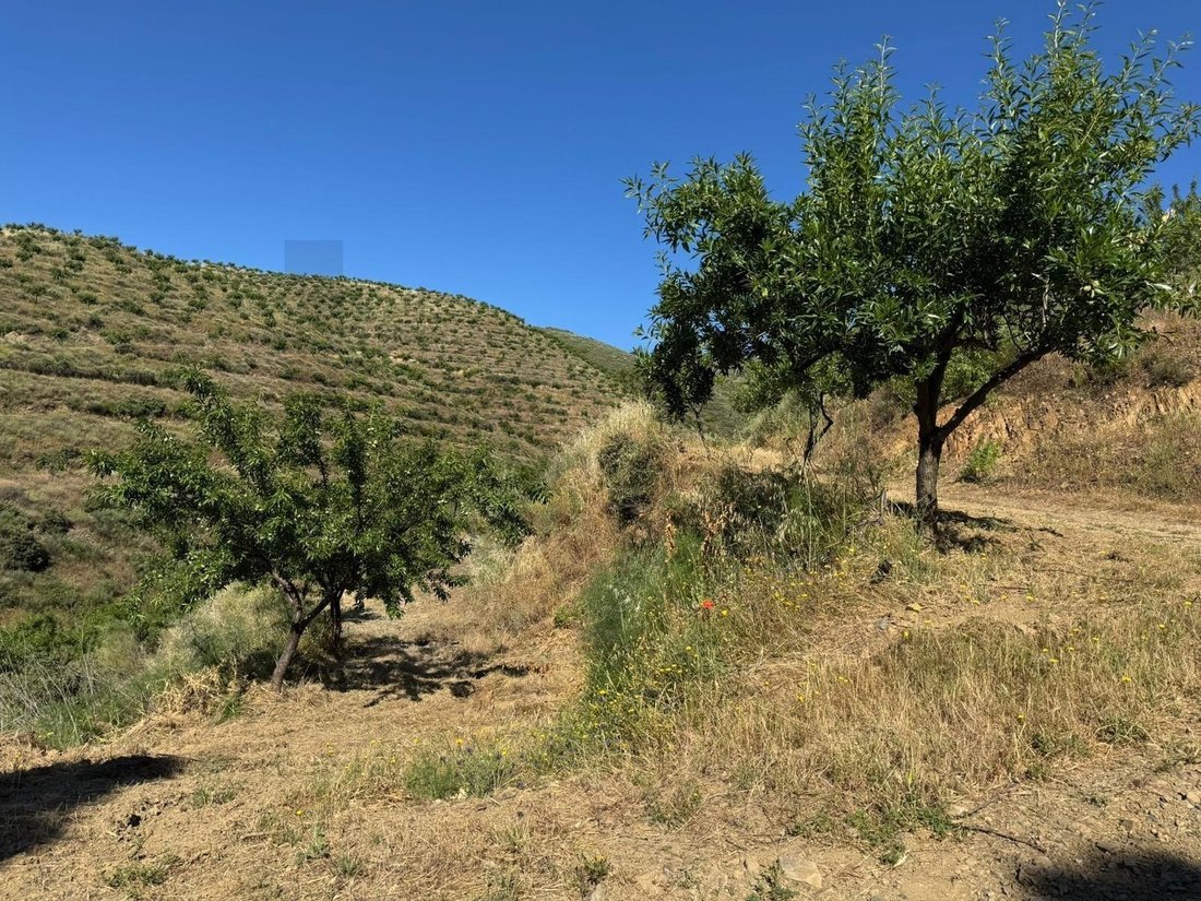Terreno a Meda, Outeiro de Gatos e Fonte Longa, Distretto di Guarda, Portogallo 5 - 16700552