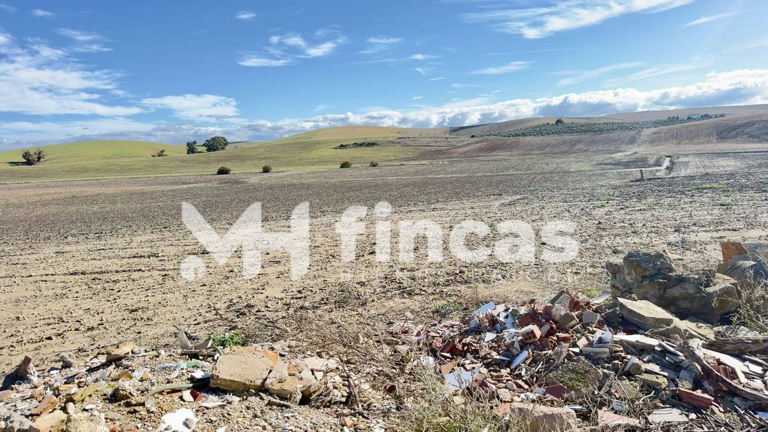 Land in Utrera, Andalusia, Spain 5 - 16700762