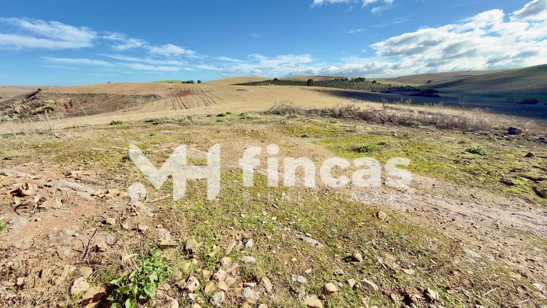 Land in Utrera, Andalusia, Spain 2 - 16700762