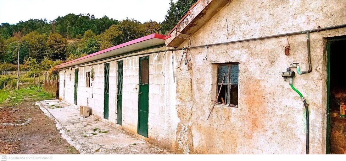 Farm Ranch in Vilela, Sao Cosme e Sao Damiao e Sa, Viana do Castelo District, Portugal 4 - 16700941